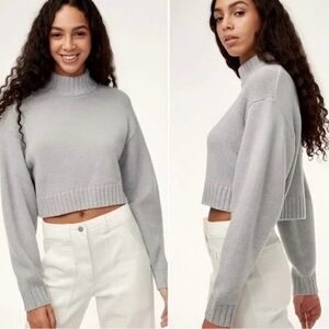 Aritzia Wilfred Merino Wool Crop Turtleneck Sweater – Size M